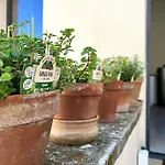 Appartement Casa Brumar *