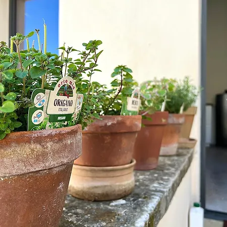 Apartamento Casa Brumar *