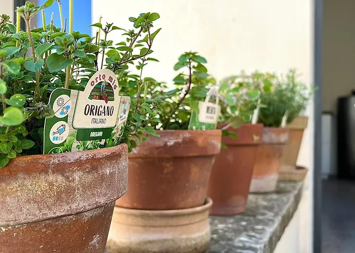 Appartement Casa Brumar *